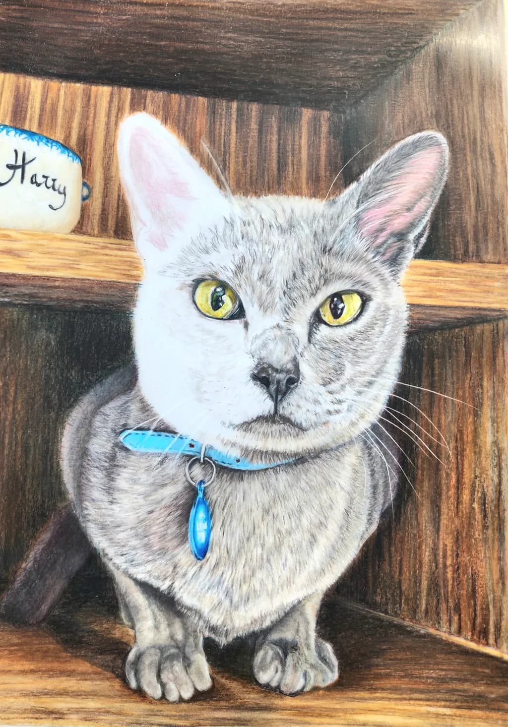 Whiskers and Wonder: A Charming Portrait of a Curious Cat