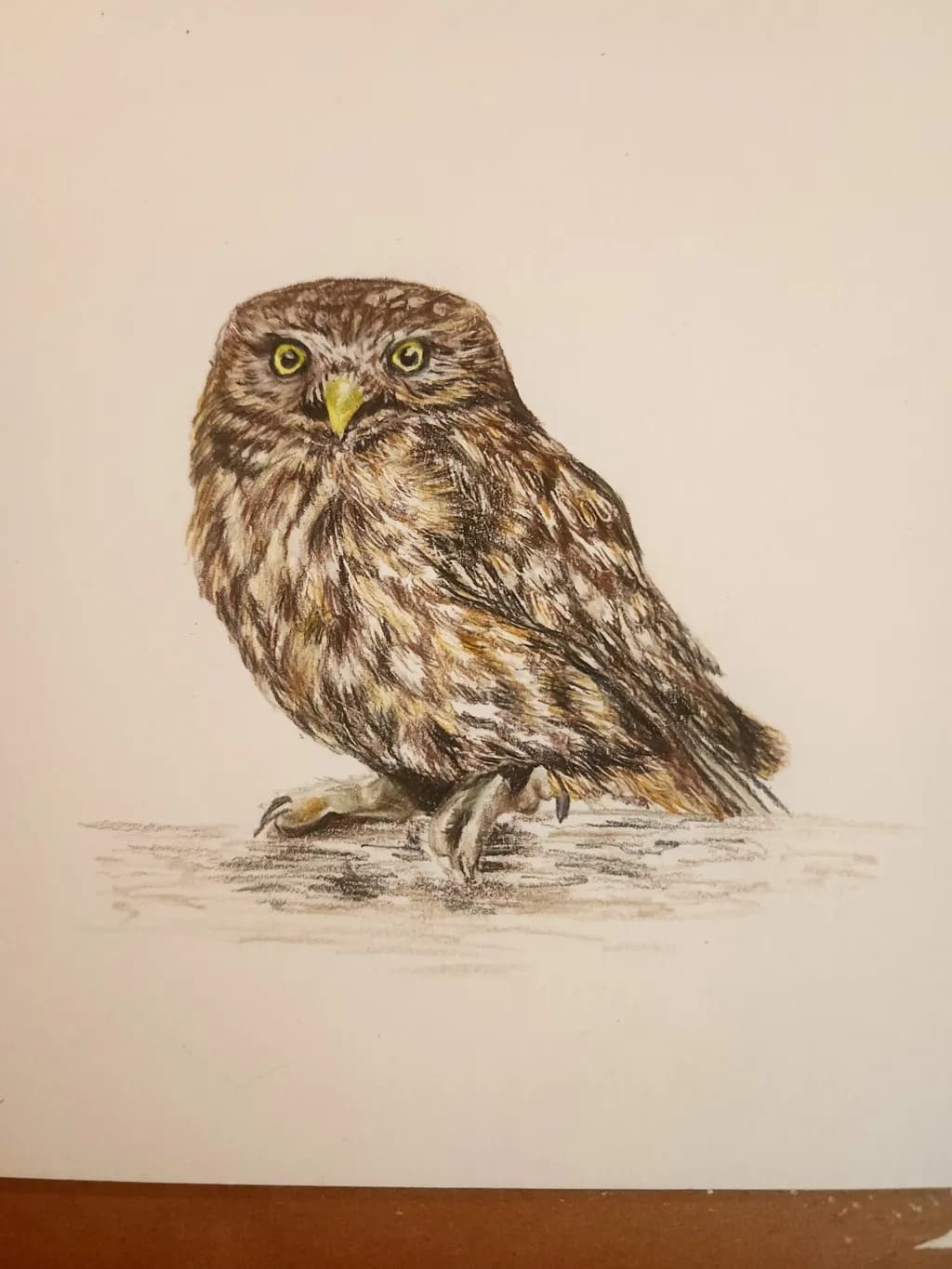Whimsical Watcher: A Charming Owl Portrait in Earthy Hues