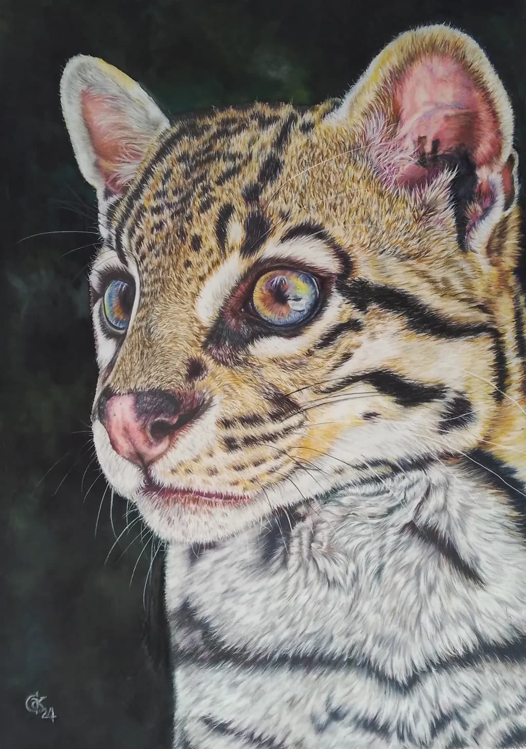 Whiskers of Wonder: A Close-Up Encounter with Nature's Stripes