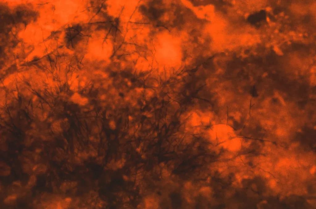 Molten Veins