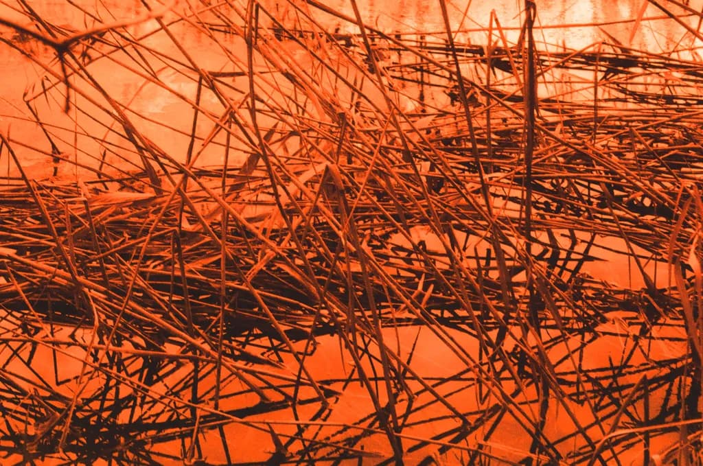 Tangled Glow