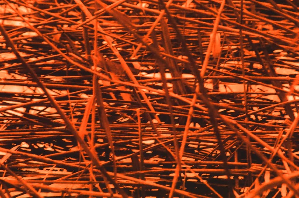 Tangled Ember Twigs