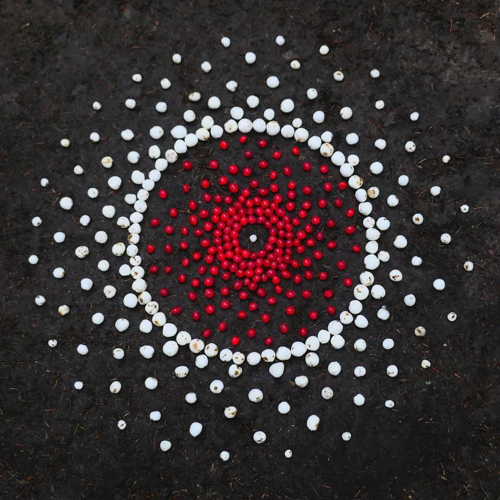 Radiant Harmony: A Circular Dance of Red and White on Earth’s Canvas