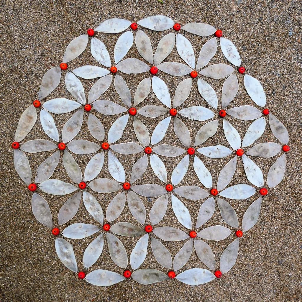 Geometric Harmony: A Dance of Beads and Patterns in Nature's Canvas