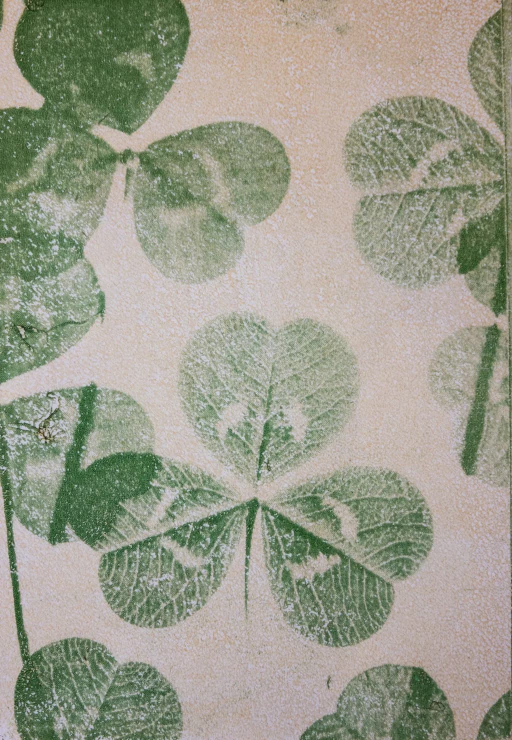 Faded Clover Texture