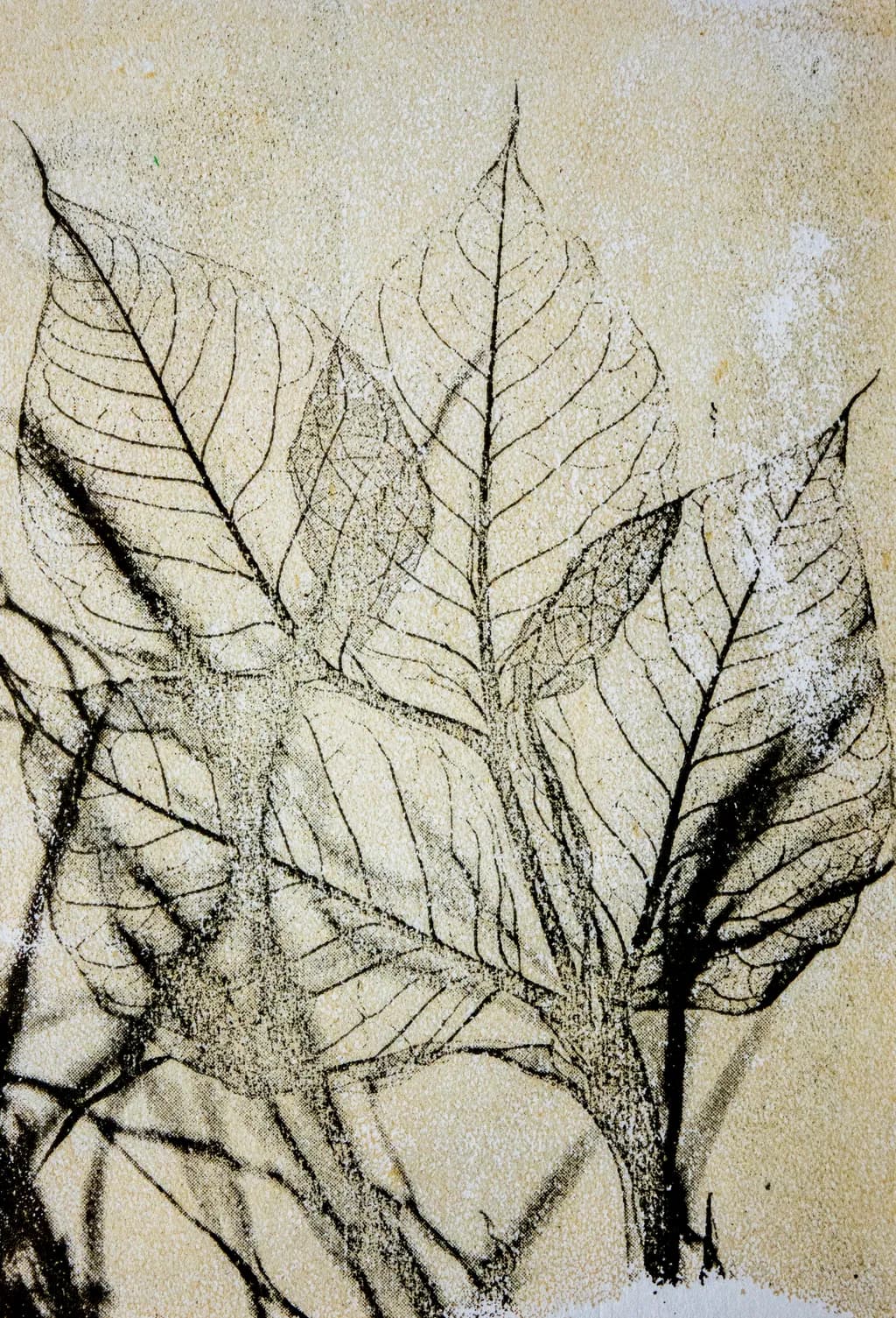 Vein Impressions