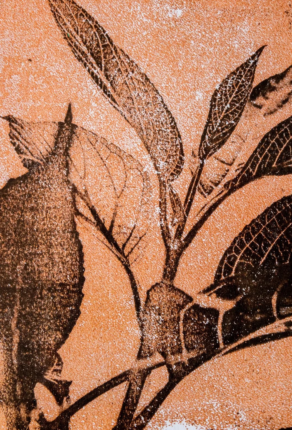 Leaf Imprint