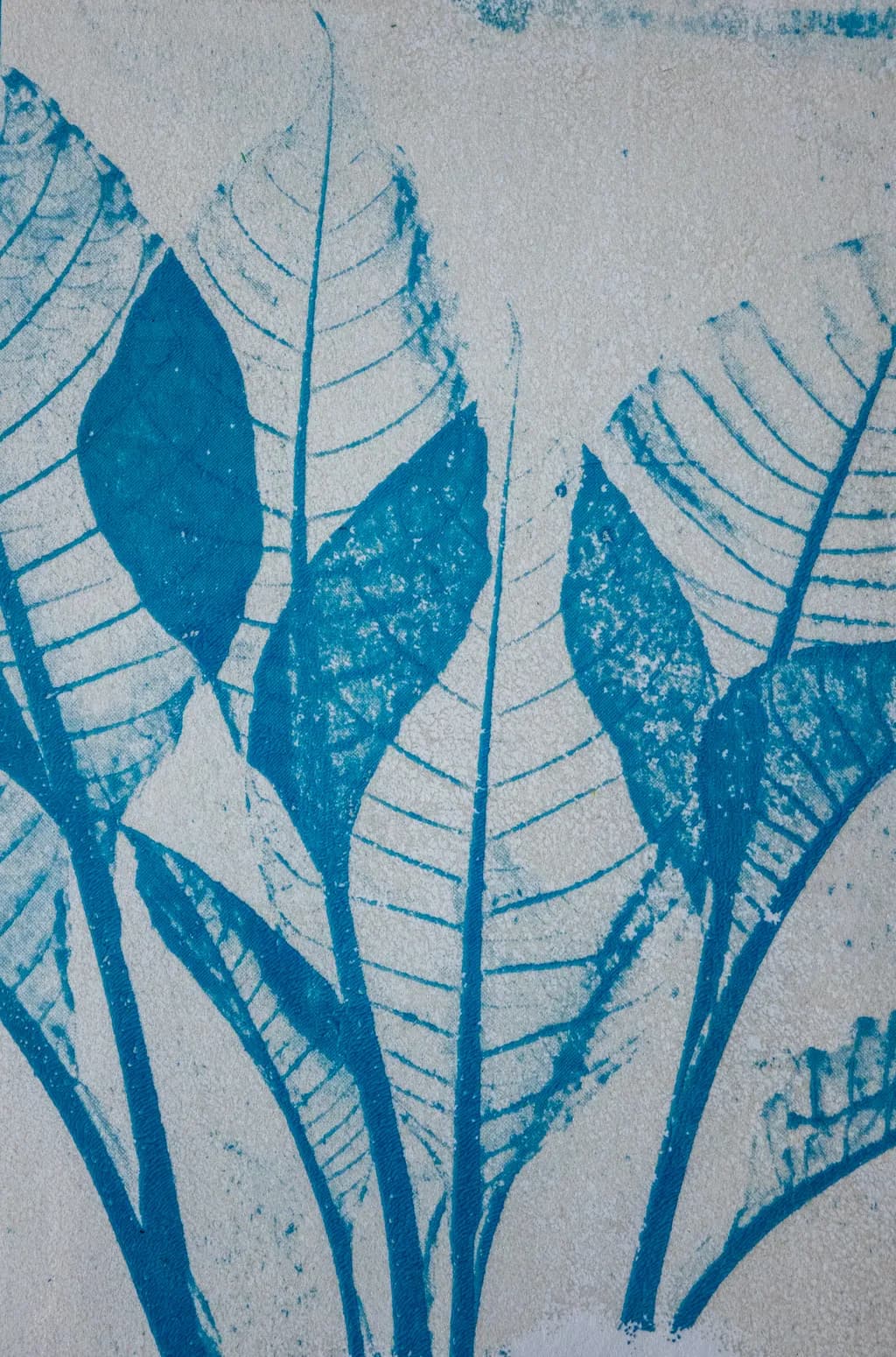 Blue Leaf Imprint
