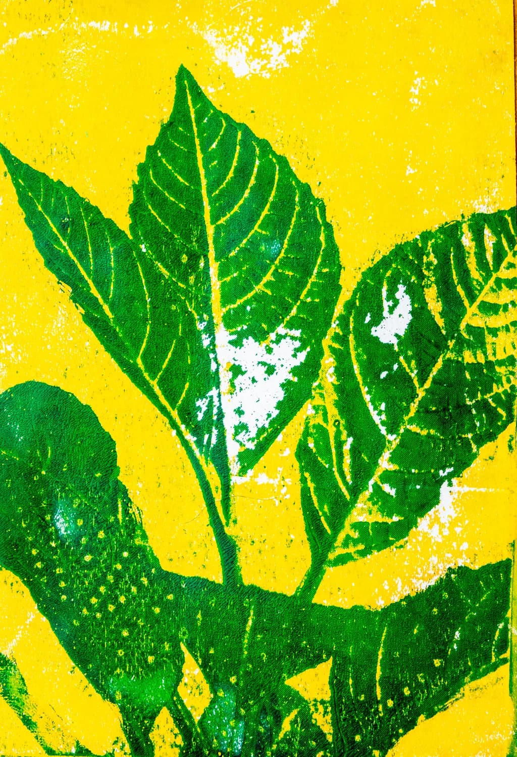 Verdant Contrast