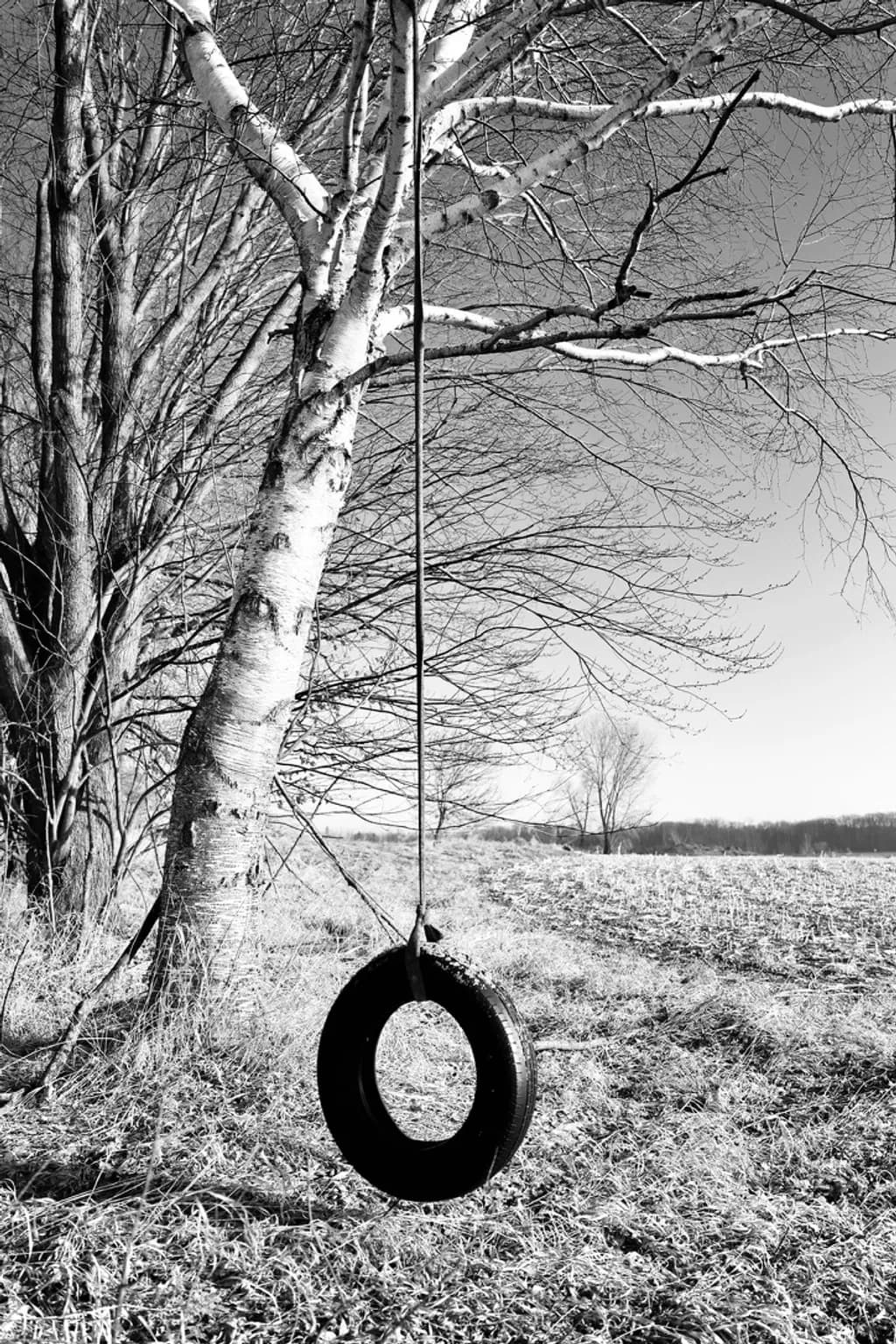 Tire Swing Solitude