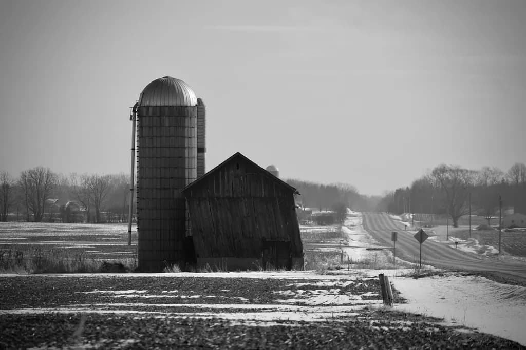 Winter Silo Silence