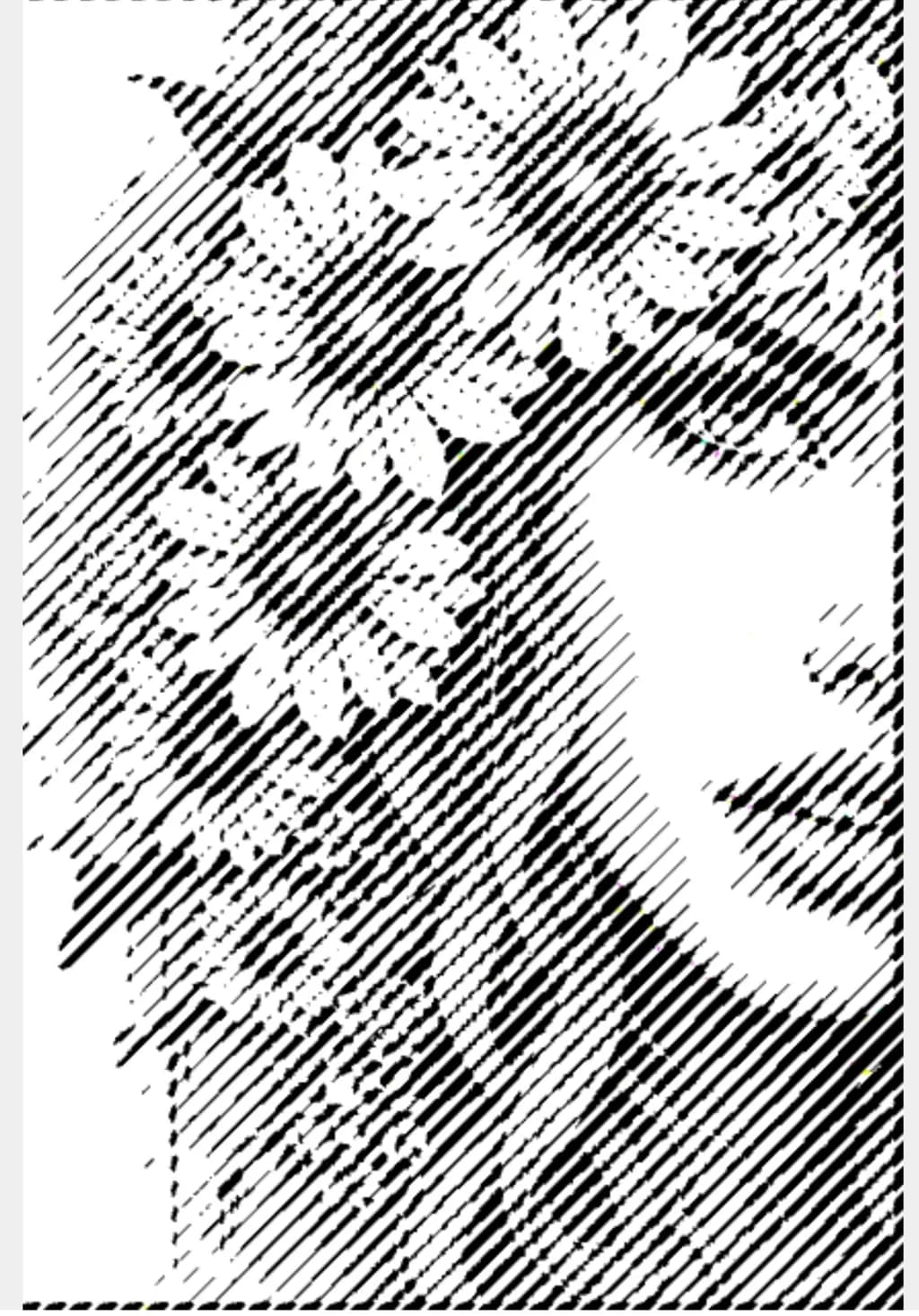 Whispers of Nature: A Floral Embrace in Monochrome Elegance