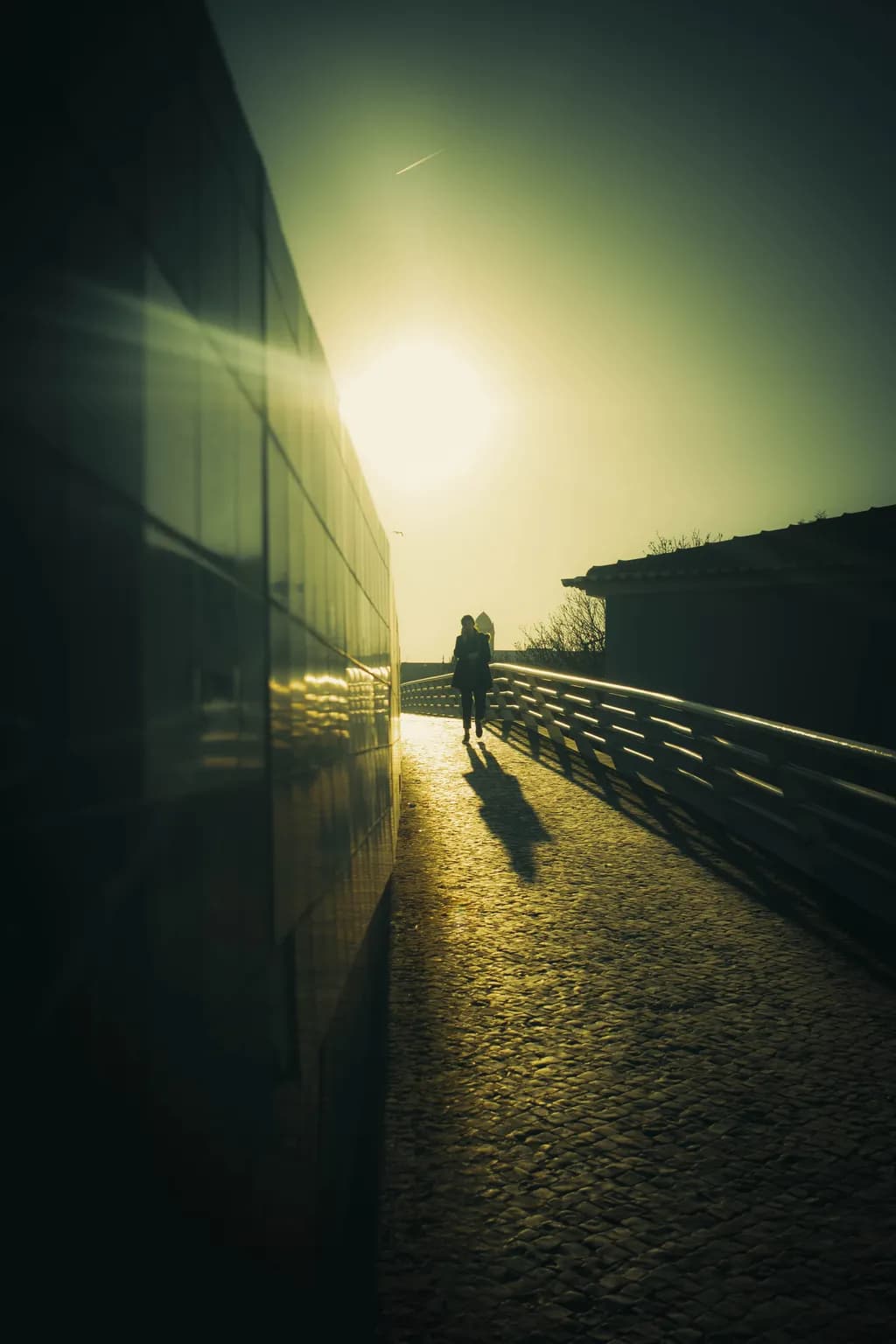 Ethereal Embrace: A Journey into the Golden Hour's Glow