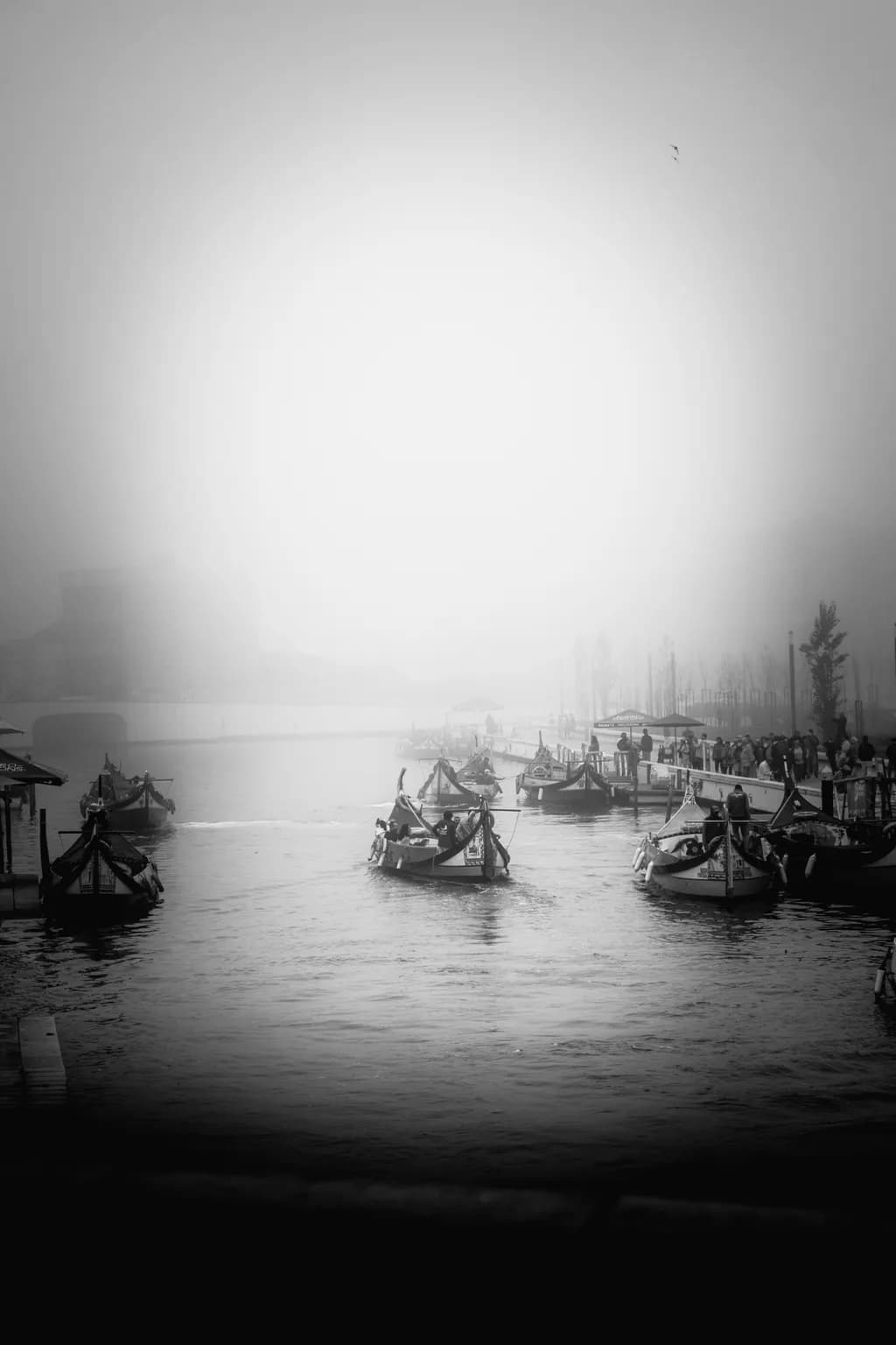 Whispers of the Fog: A Serene Journey Through Misty Waters