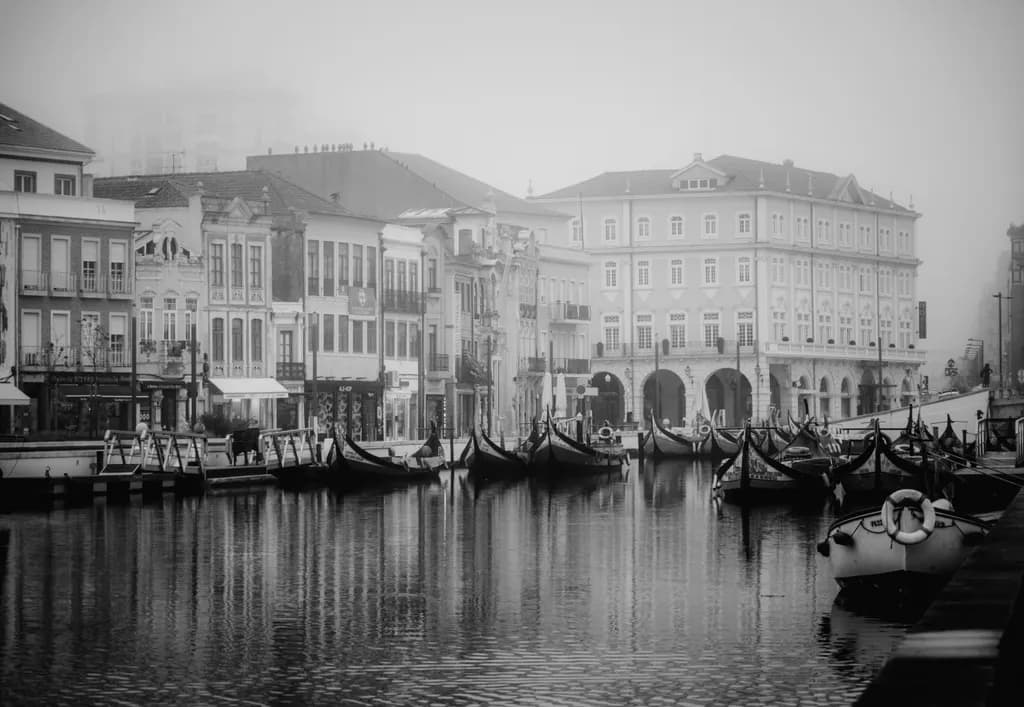 Whispers of the Waterfront: A Serene Monochrome Journey Through Fog and Architecture