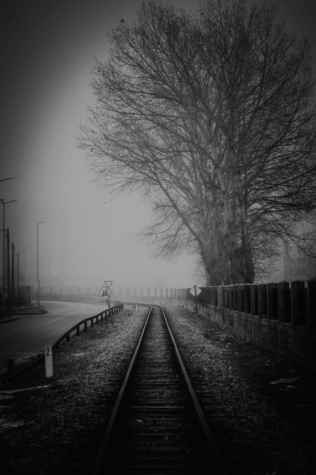 Whispers of the Fog: A Monochrome Journey Through Urban Desolation