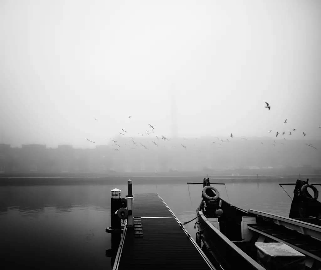 Serene Monochrome Reflections: A Foggy Dock with Birds in Flight