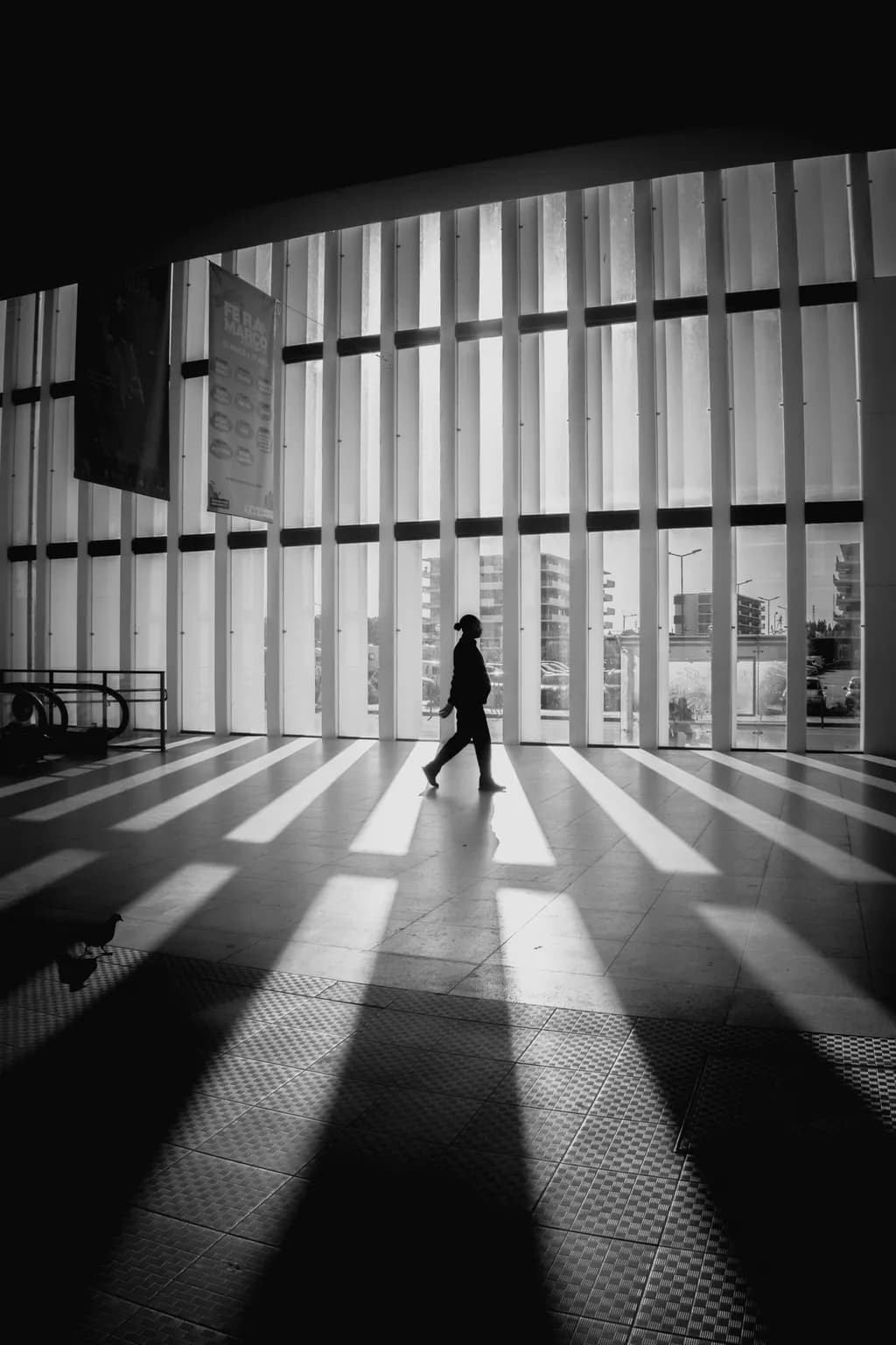 Urban Solitude: A Monochrome Dance of Shadows and Silhouettes