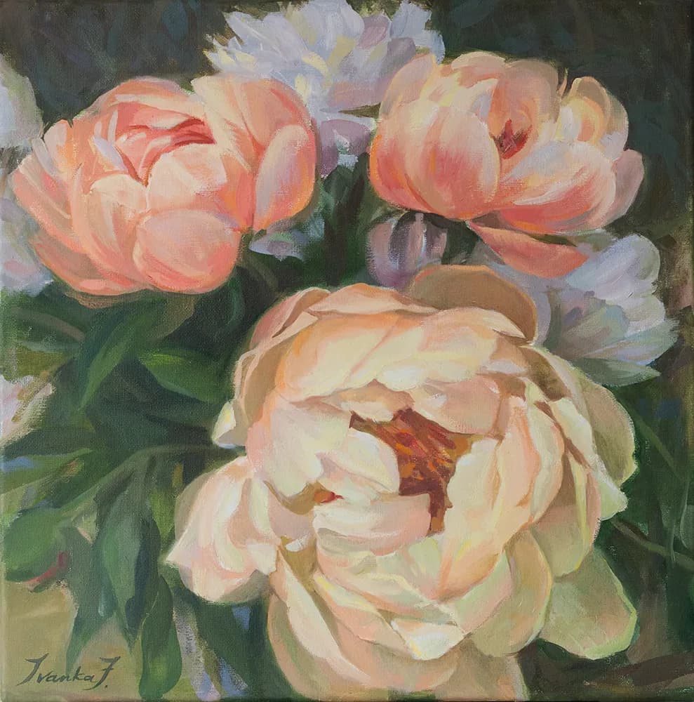 Whispers of Spring: A Vibrant Peony Symphony in Bloom
