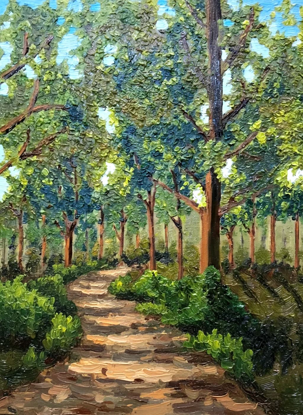 Forest Pathway