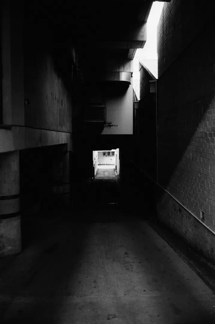 Whispers of Light in the Shadows: A Journey Through Urban Depths