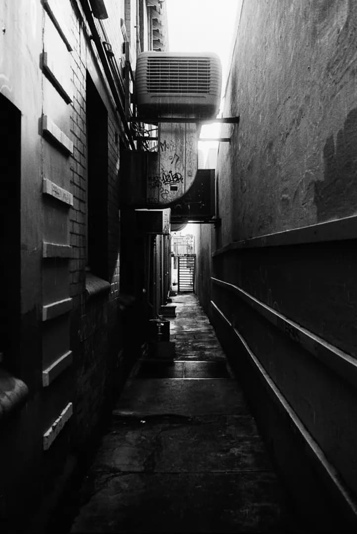 Whispers of the Alley: A Journey Through Shadows and Light