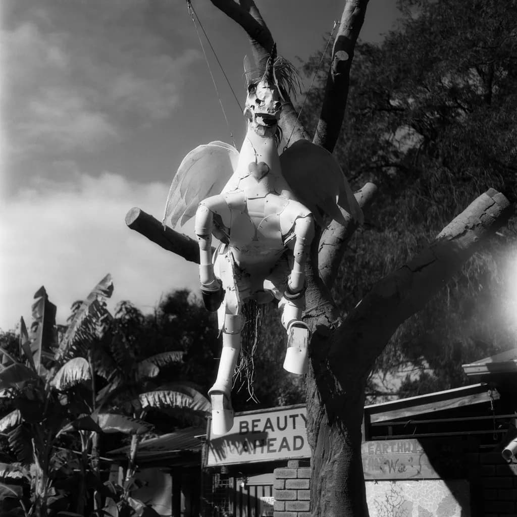 Whimsical Dreams: A Winged Horse in a Tree of Imagination