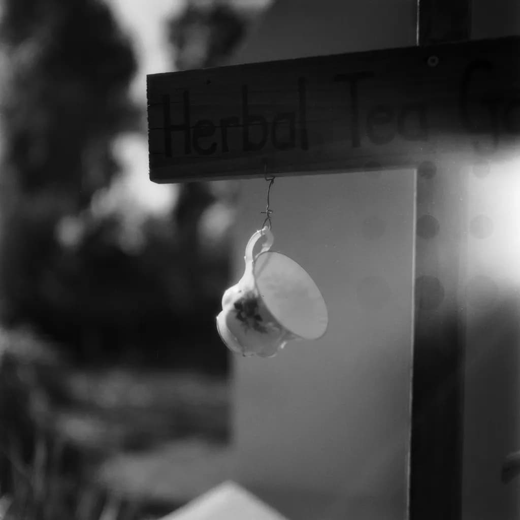 Whispers of Herbal Serenity: A Monochrome Tea Journey