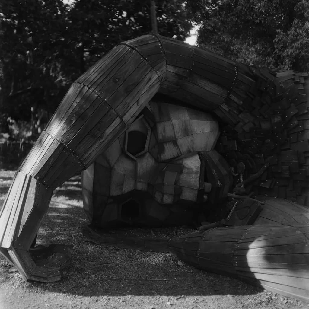 Whispers of Wood: A Sculptural Embrace of Nature's Essence