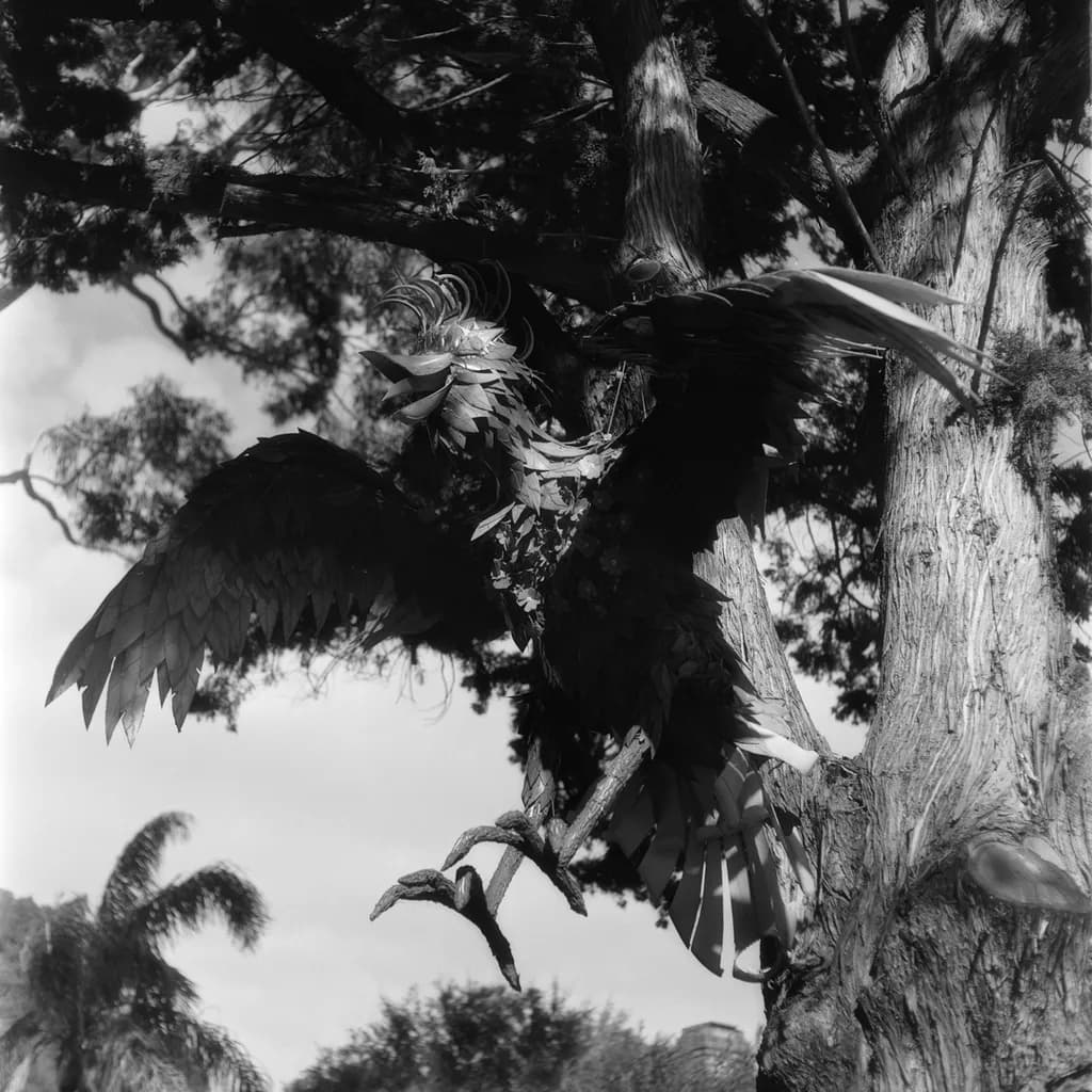 Whispers of the Wild: A Majestic Bird in Nature's Embrace