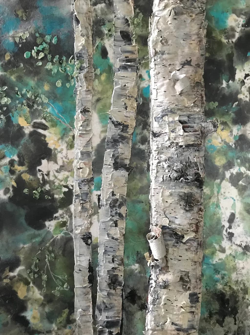 Birch Trees Mystery