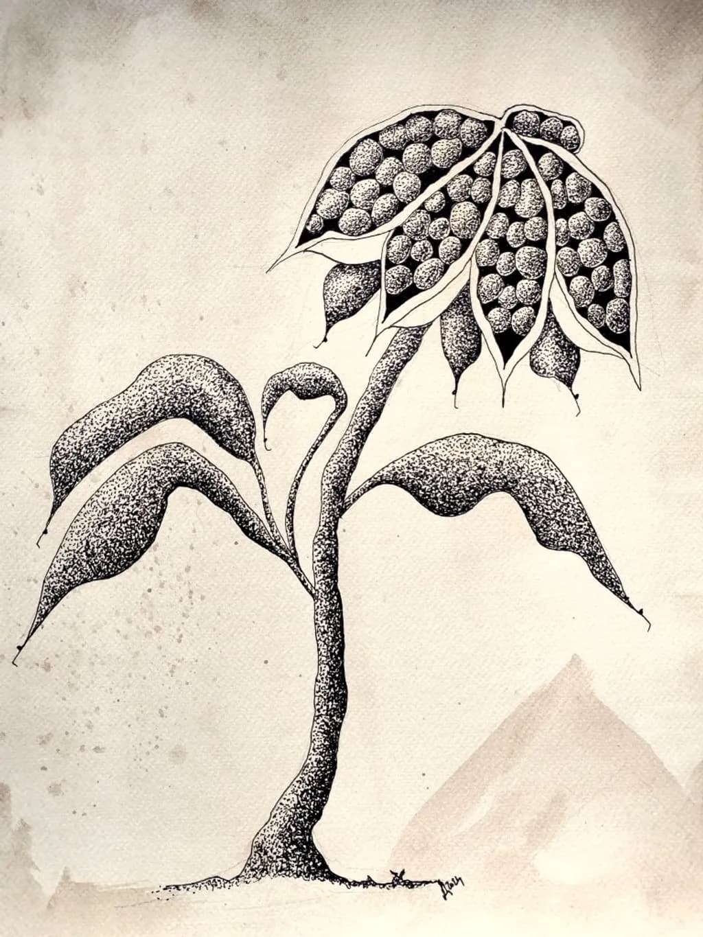 Seed Pod Bloom
