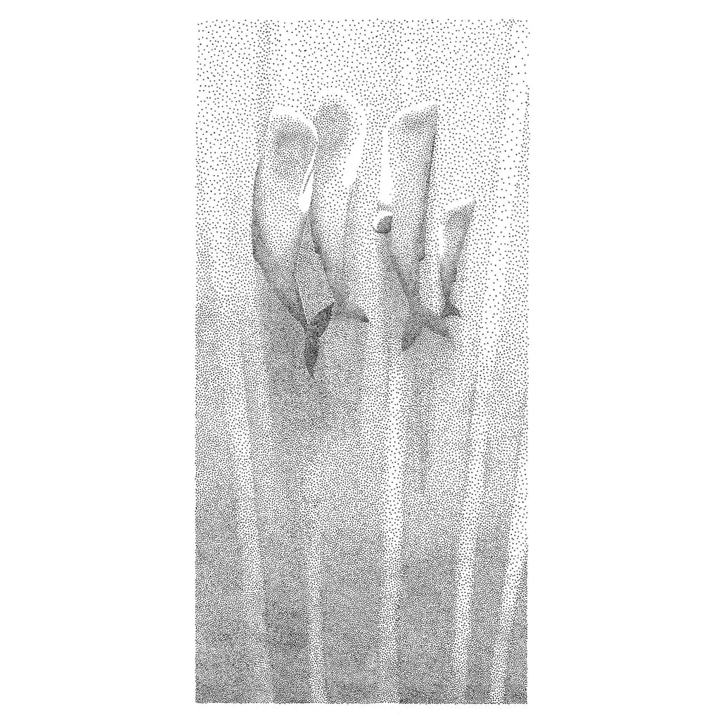 Fingers in Monochrome