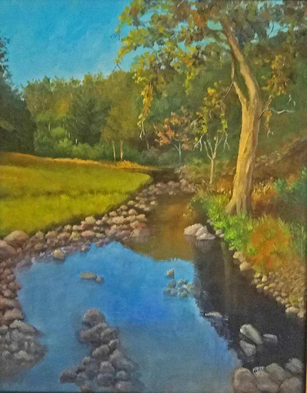 Sarabah Creek Reflections