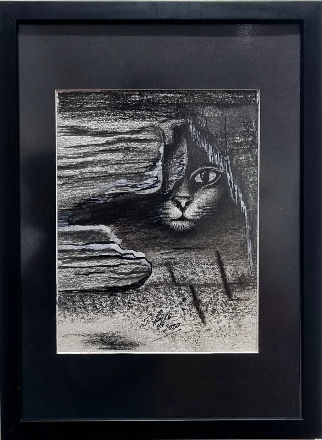 Whispers of the Wild: A Cat's Gaze Through the Shadows