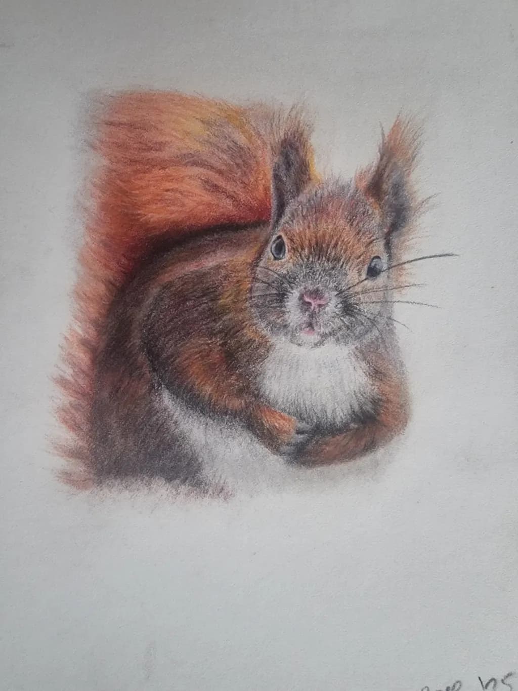 Whiskers and Whimsy: A Colorful Portrait of a Playful Squirrel