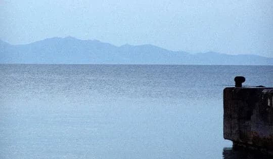 Whispers of the Horizon: A Serene Encounter with Nature's Embrace