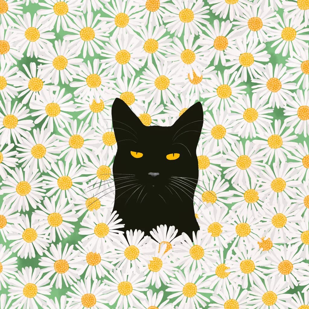 Midnight Among Daisies