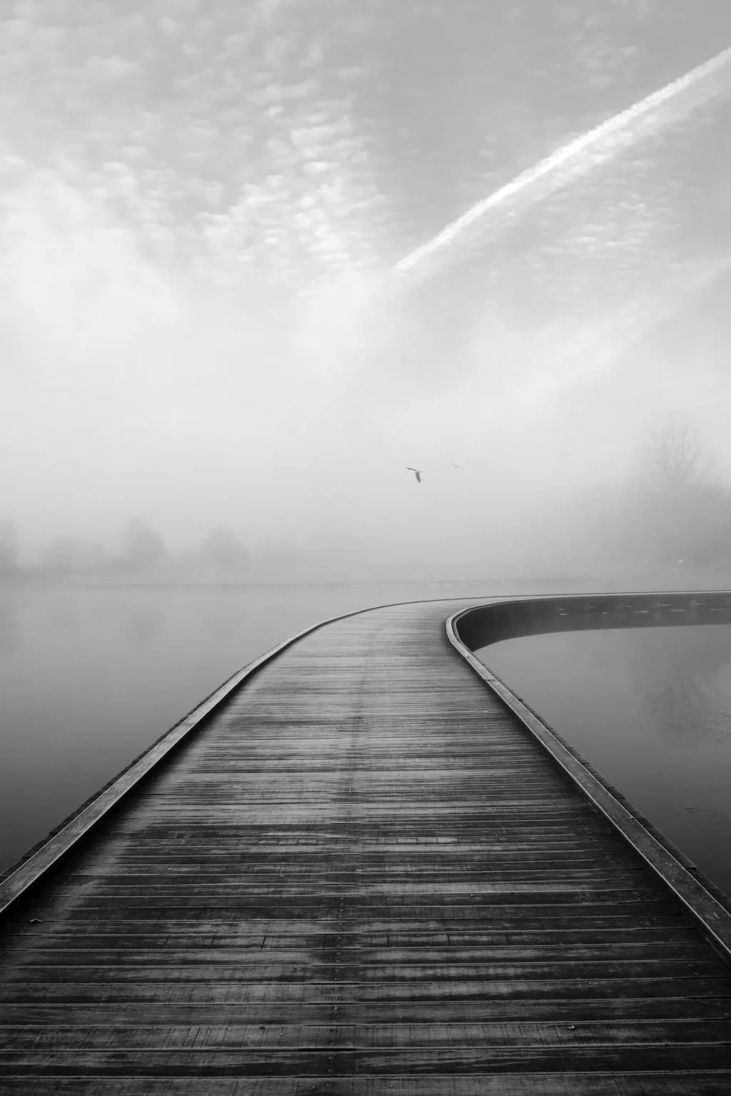 Foggy Pathway
