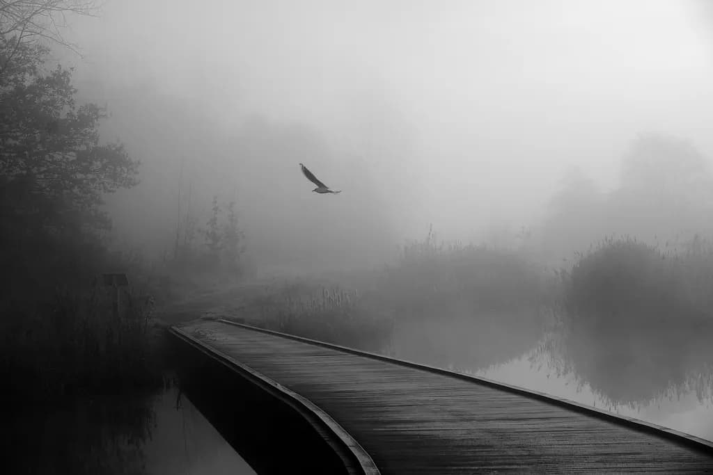 Baghaven Morning