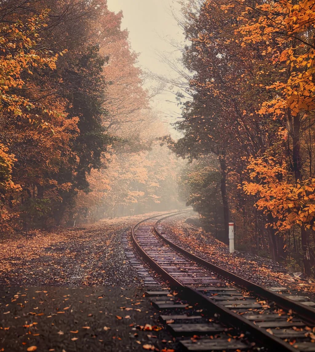 Whispers of Autumn: A Serene Journey Along the Curved Tracks of Change