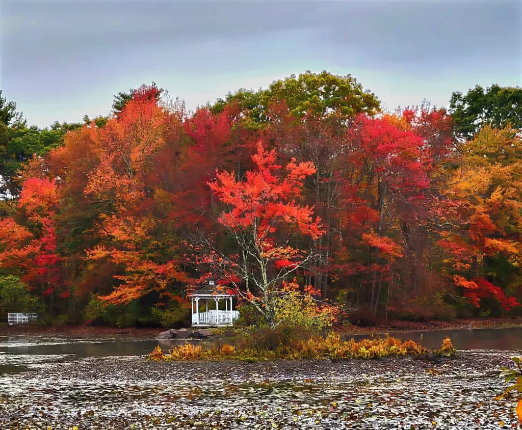 Whispers of Autumn: A Serene Gazebo Amidst Fiery Foliage