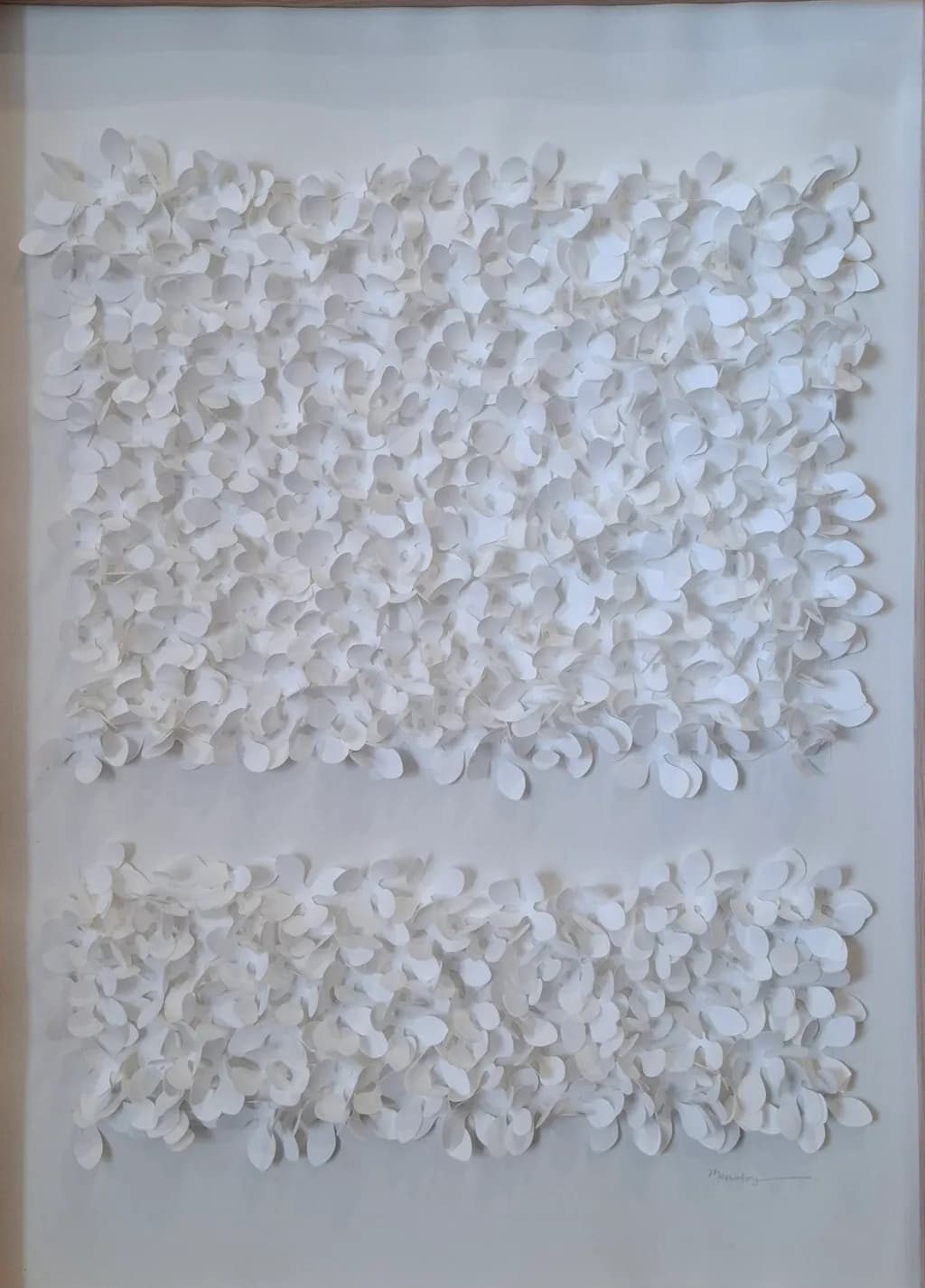White Petal Study