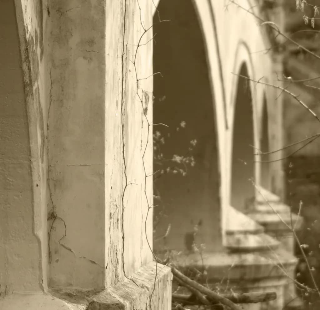Whispers of Time: Nature's Embrace on Forgotten Arches