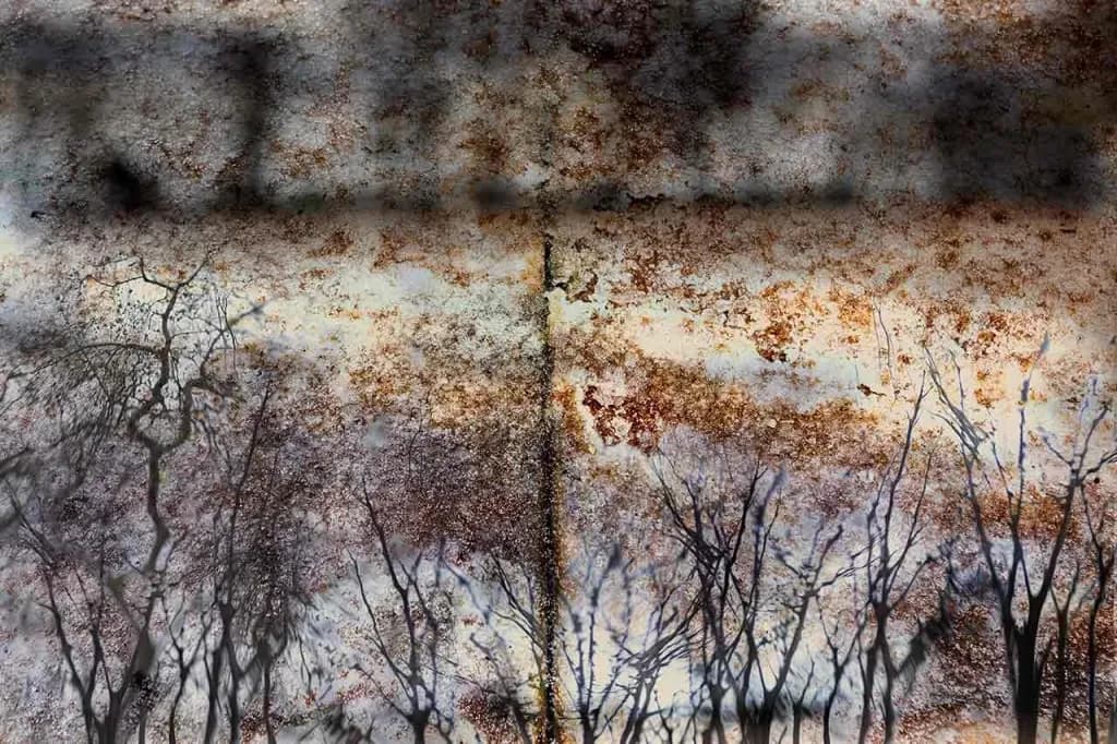 Whispers of the Grunge: An Abstract Landscape of Trees and Texture