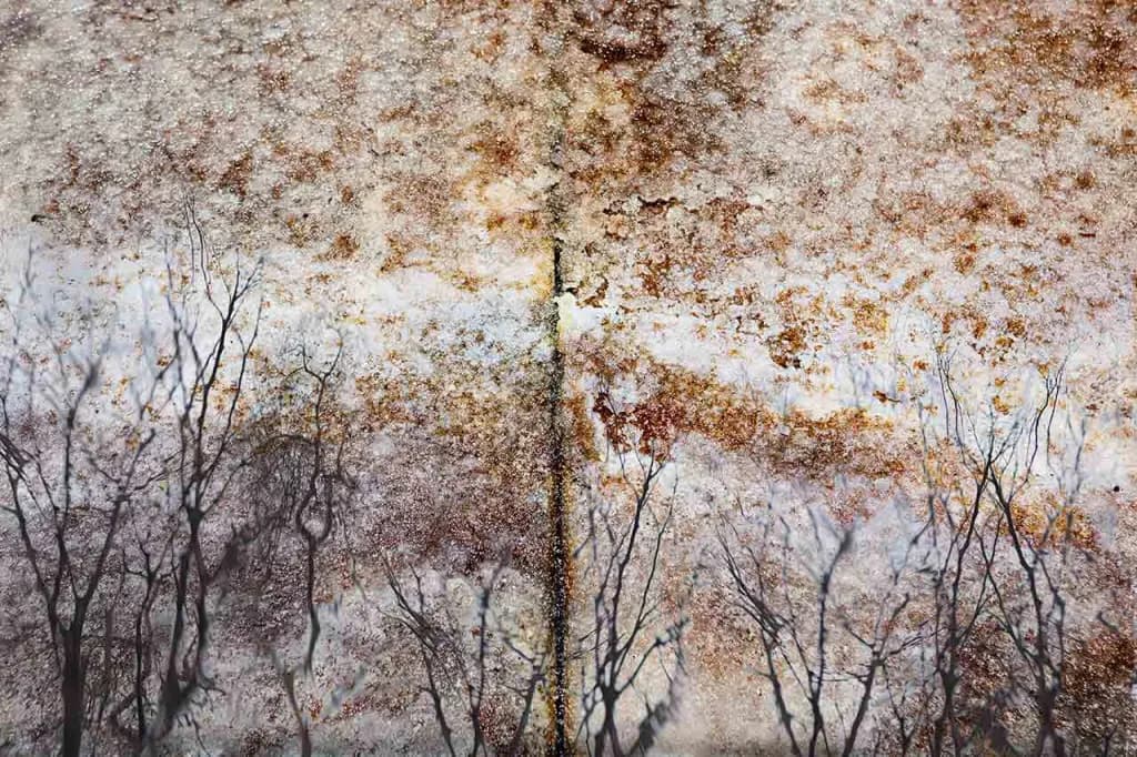 Whispers of Autumn: A Journey Through Nature's Textured Canvas