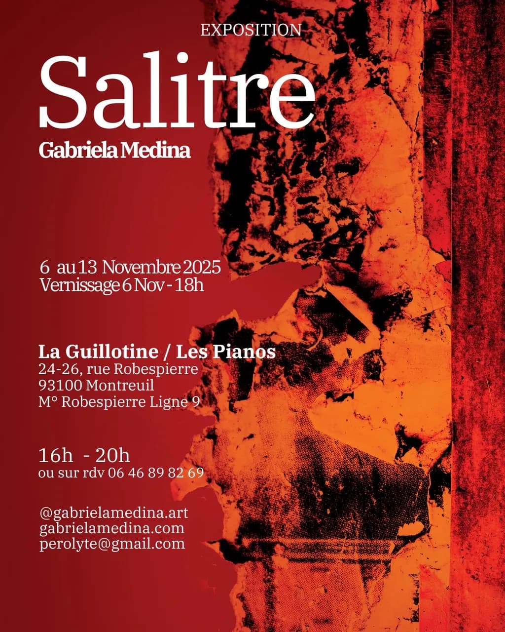 Vibrant Echoes: The Salitre Exposition by Gabriela Medina in Montreuil