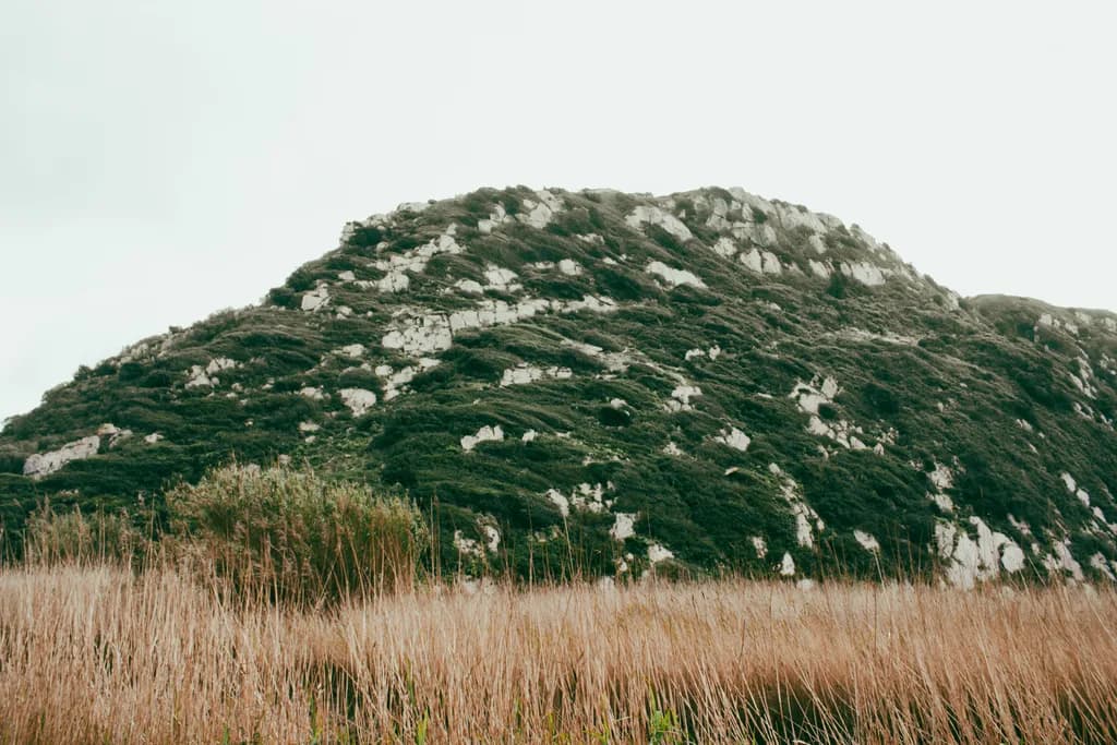 Whispers of the Hill: A Serene Landscape Embraced by Nature's Touch
