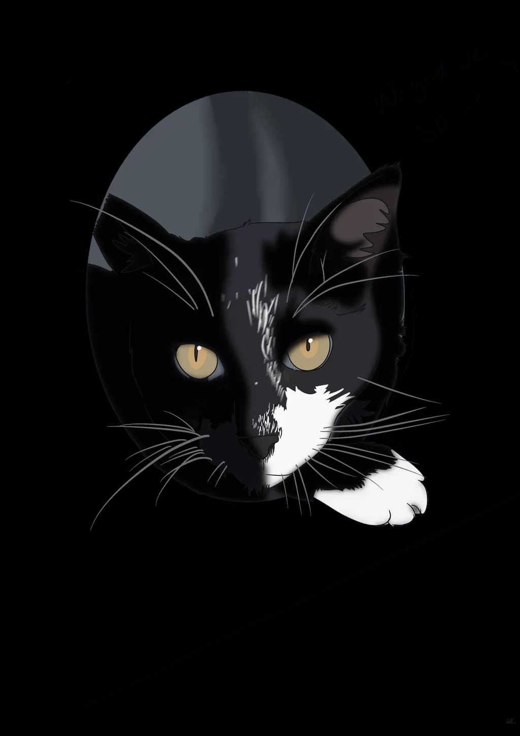 Tuxedo Gaze