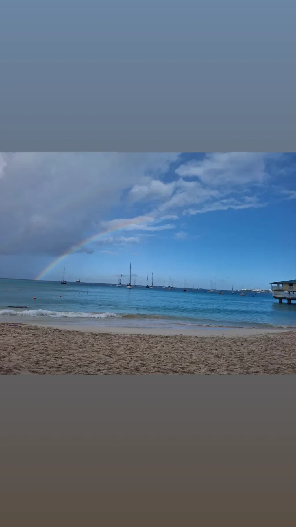 Harbor Rainbow